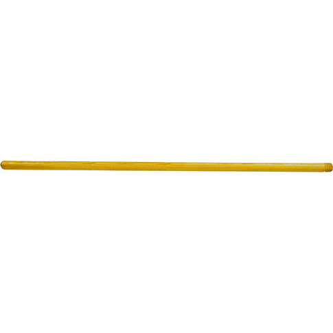 عصا زان